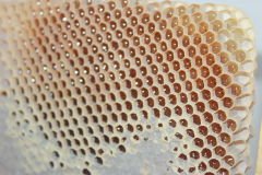 Erzincan Karakovan Çıtalı Bal Uşak Yörem